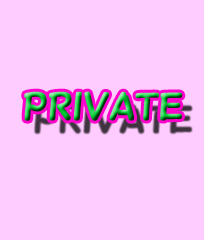 L肦private1